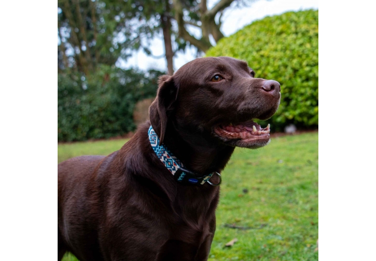 Soho Aztec Collar S 20-30cm