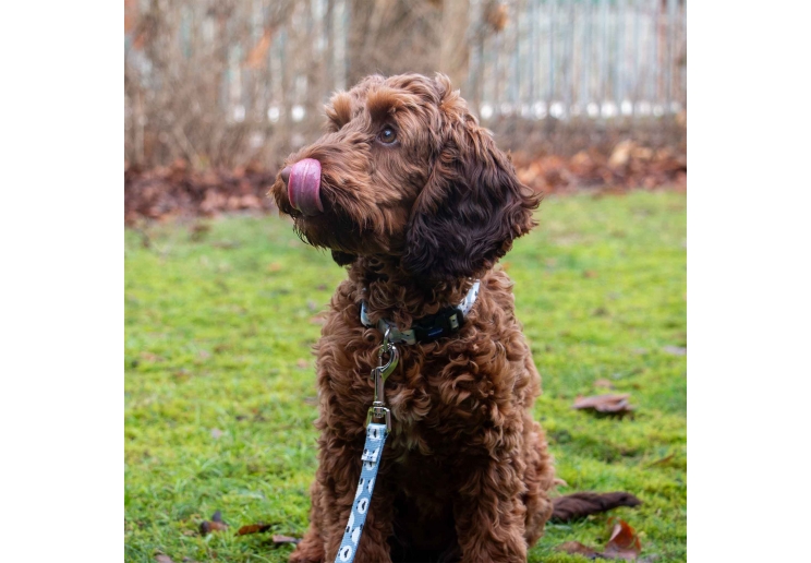 Soho Counting Sheep 100cm | 50kg