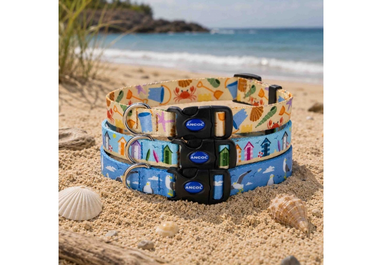 Soho Bucket & Spade  Collar S 20-30cm