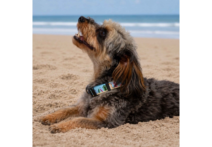 Soho Beach Hut Collar S 20-30cm
