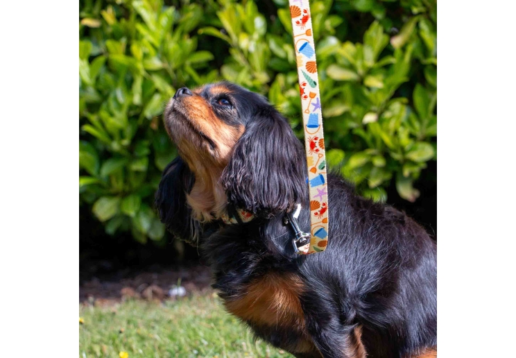 Soho Bucket & Spade Lead 100cm | 50kg