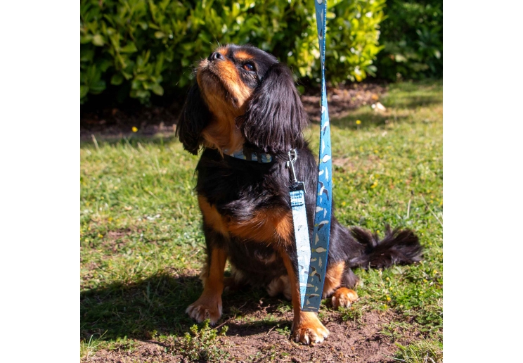 Soho Seagull Lead 100cm | 50kg