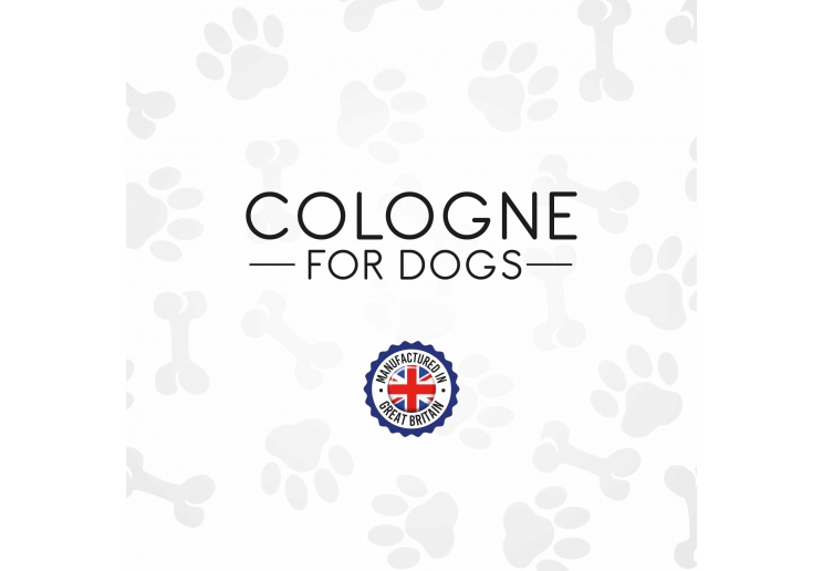 Cologne Deal With Display Tray 24pcs
