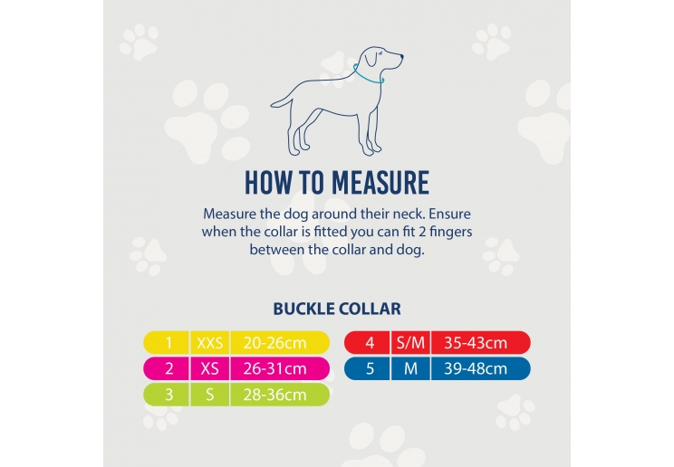 Viva Collar Blue 20-26cm Size 1