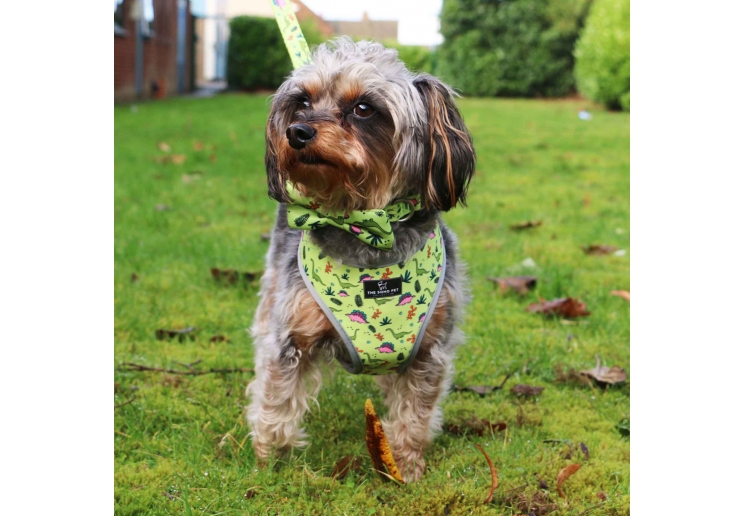 Soho Dino/Ice Cream Reversible Harness S