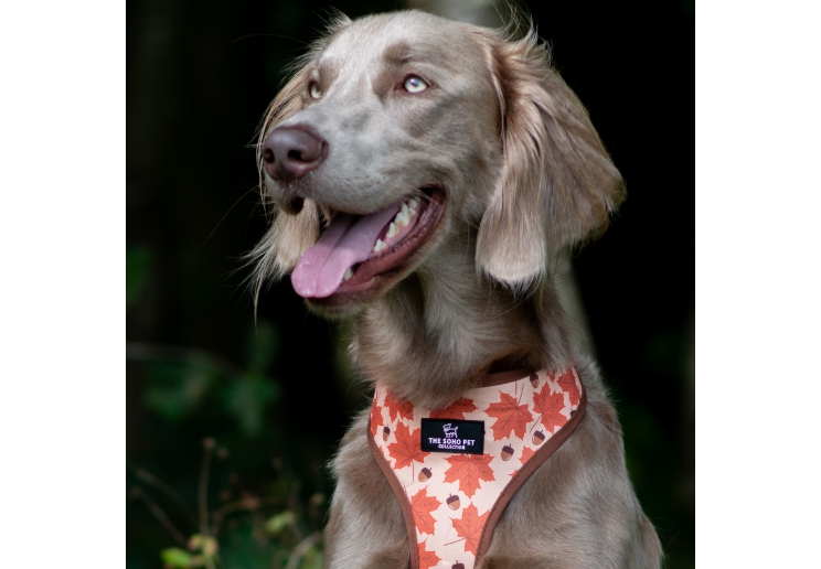Maple Leaf /Woodland Reversible Harness S