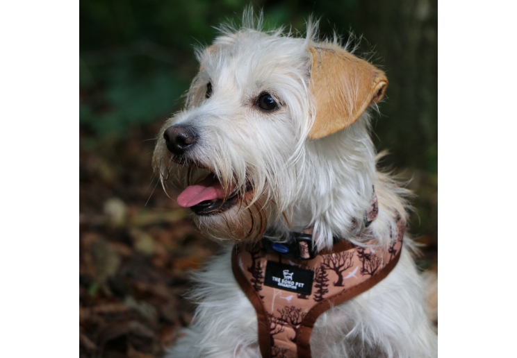 Maple Leaf /Woodland Reversible Harness S