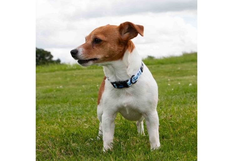 Soho Nautical Collar S 20-30cm