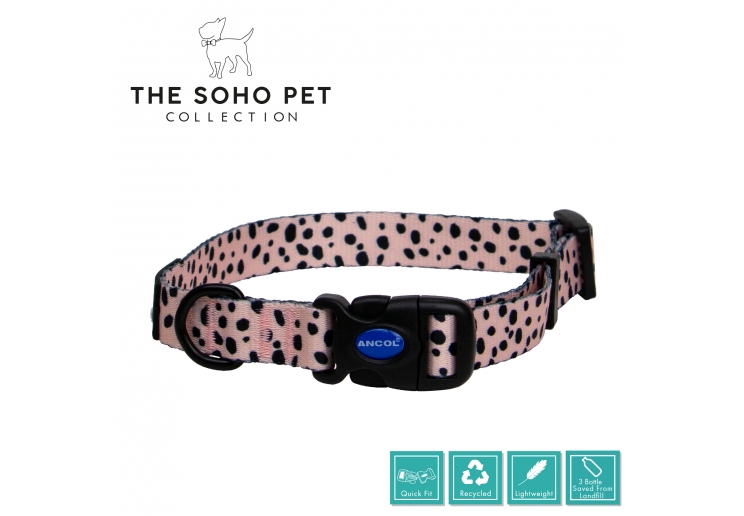Soho Dalmatian Collar M