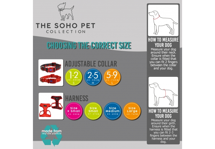 Soho Dalmatian Collar M