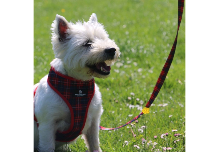 Soho Tartan Lead 100cm | 50kg