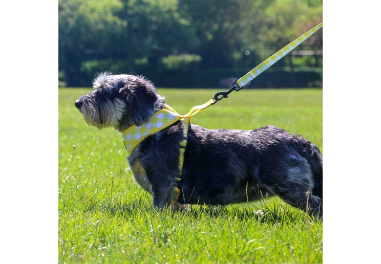 Soho Yellow Check Lead 100cm | 50kg