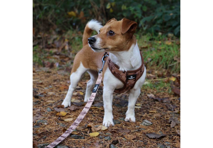 Soho Woodland Lead 100cm | 50kg