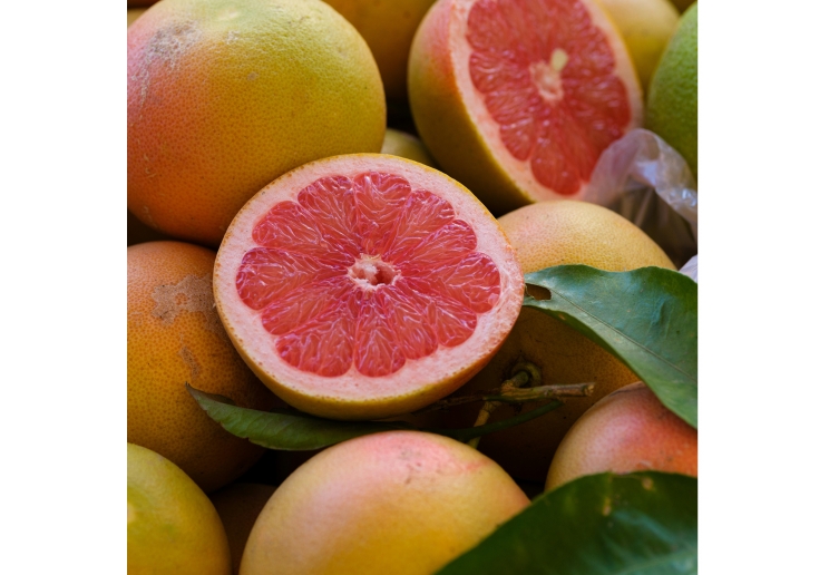 Dog Shampoo Lemon And Grapefruit 200ml