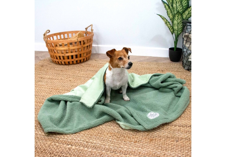 Small Bite Teddy Bear Blanket Sage