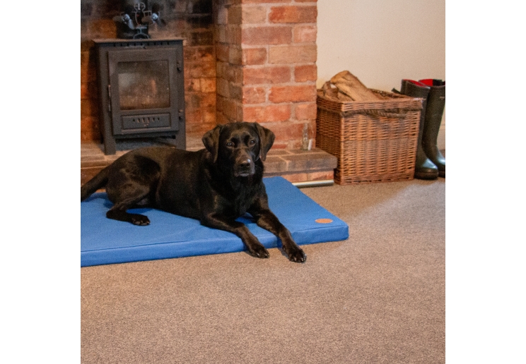 Waterproof Pad Bed 76x53cm Blue