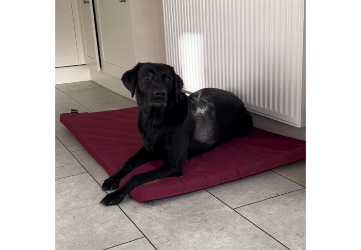 Waterproof Pad Bed 122x76cm Burgundy