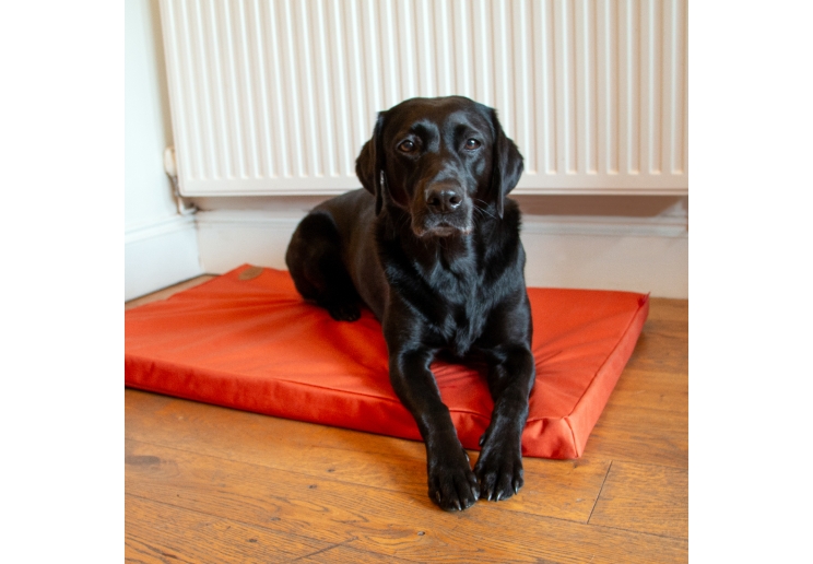 Waterproof Flat Pad Orange 122x76cm