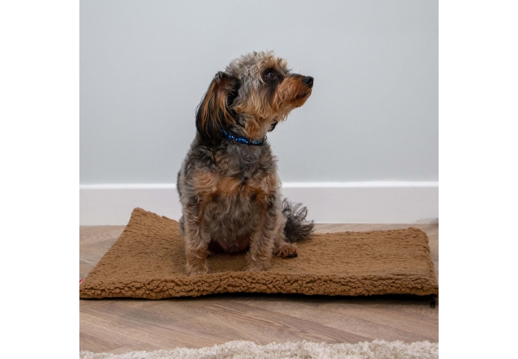 Teddy Fleece Flat Pad 76x53cm Beige