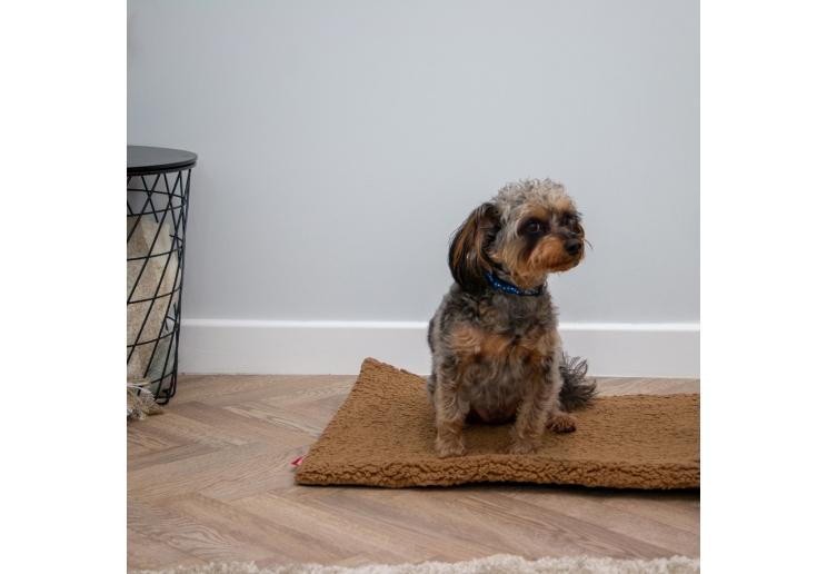 Teddy Fleece Flat Pad 122x76cm Beige