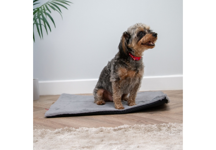 Sleepy Paws Flat Pad 122x76cm Grey