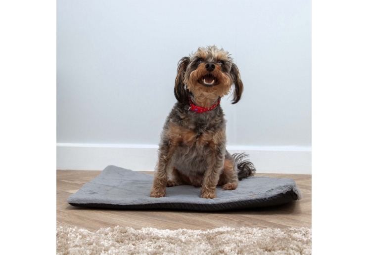 Sleepy Paws Flat Pad 122x76cm Grey