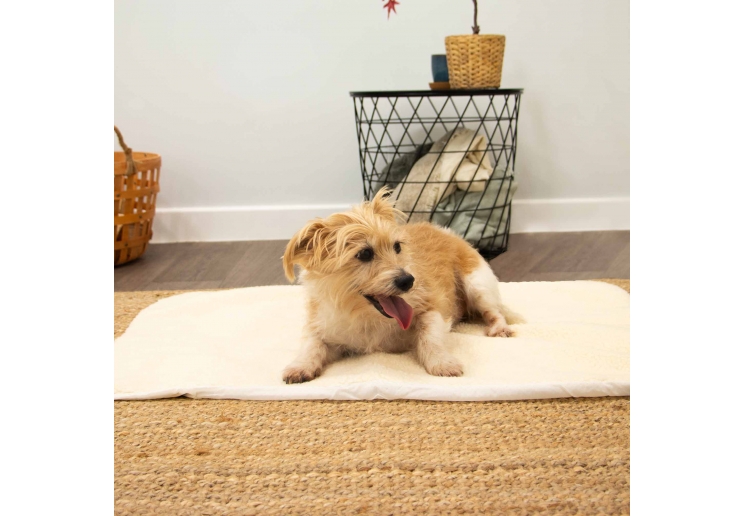 Self Heating Pet Pad L 90x64cm