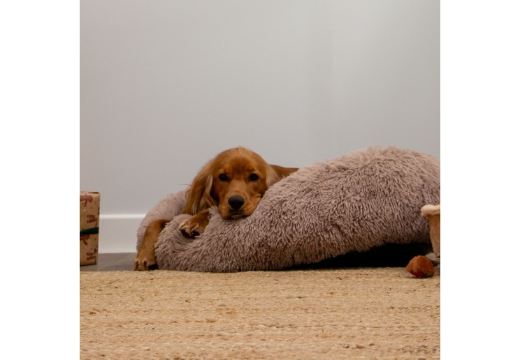 Super Plush Donut Bed 50cm Oatmeal