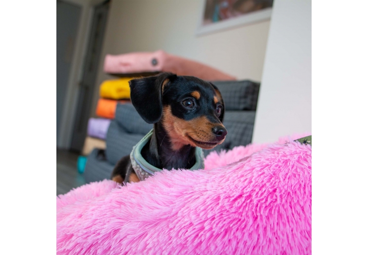 Super Plush Donut Bed 70cm Pink