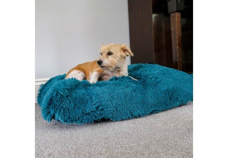 Super Plush Mattress 75x60cm Teal