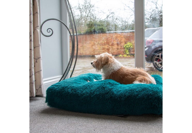 Super Plush Mattress 75x60cm Teal