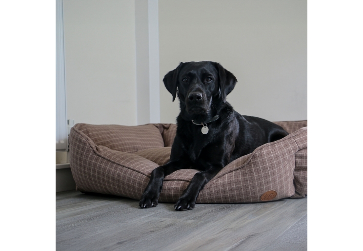 Brown Check Bed XL 84 x 105cm