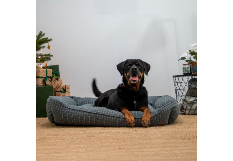 Blue Check Bed XL 84 x 105cm