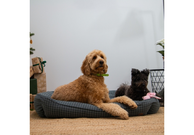 Blue Check Bed XL 84 x 105cm