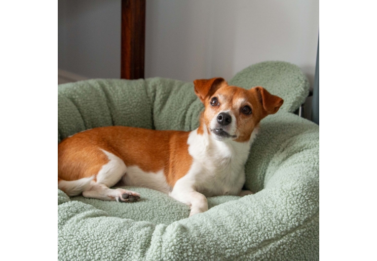 Small Bite Teddy Bear Donut Beds Sage 70cm