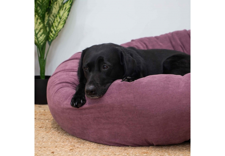 Corduroy Donut Bed (Plum) 70cm