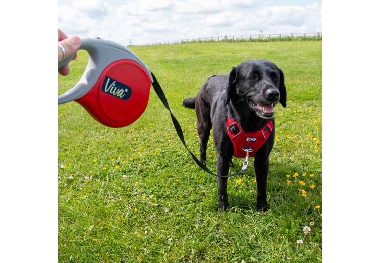 Viva Retractable 5m Lead Red M