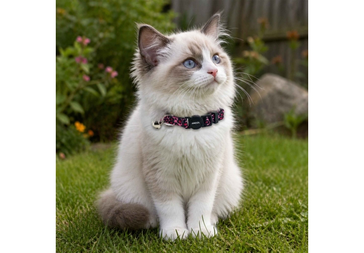 Leopard Print Cat Collar