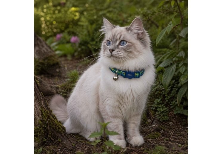 Peacock Cat Collar