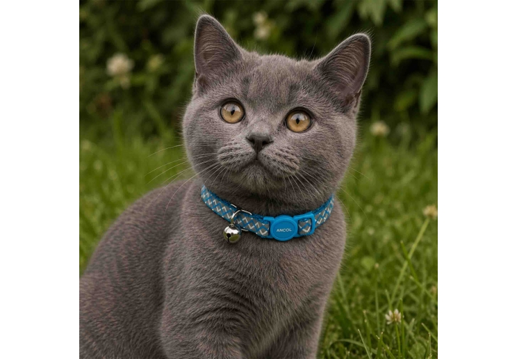 Reflective Zig-Zag Cat Collar