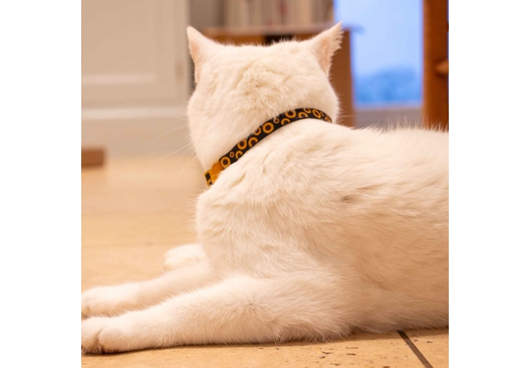 Sunflower Cat Collar