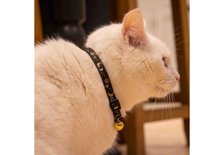 Moon & Stars Cat Collar