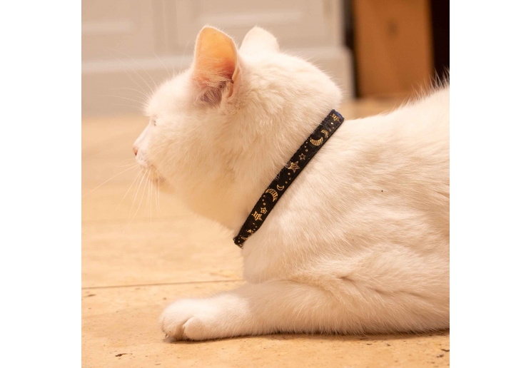 Moon & Stars Cat Collar