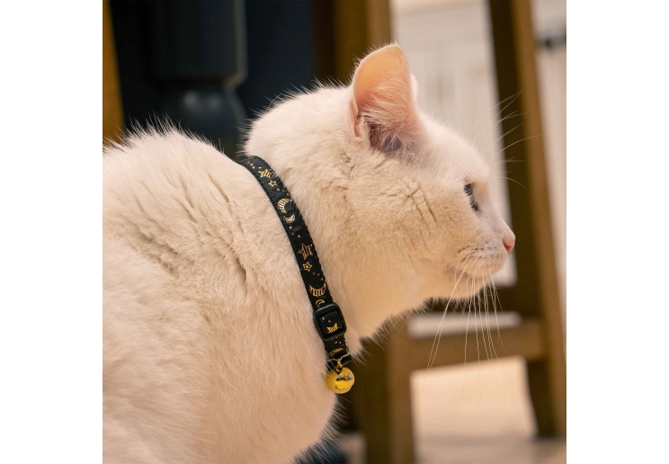 Moon & Stars Cat Collar