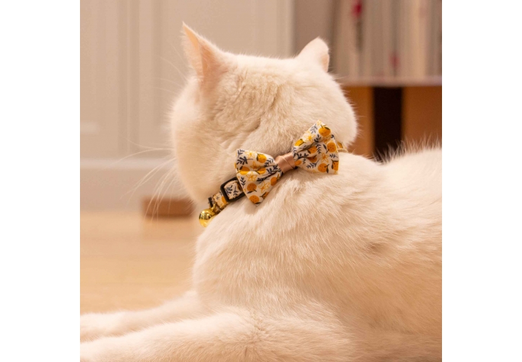 Fruit Pattern Cat Collar