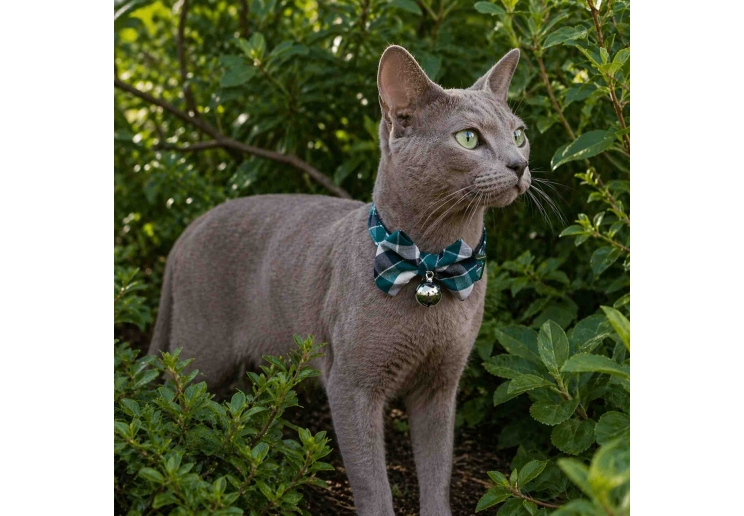 Green Tartan Bow Tie Cat Collar