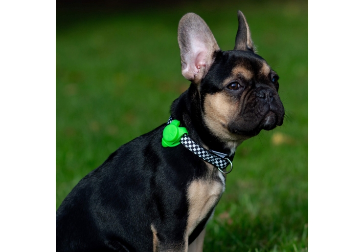 Soho Checkerboard Collar M 30-50cm