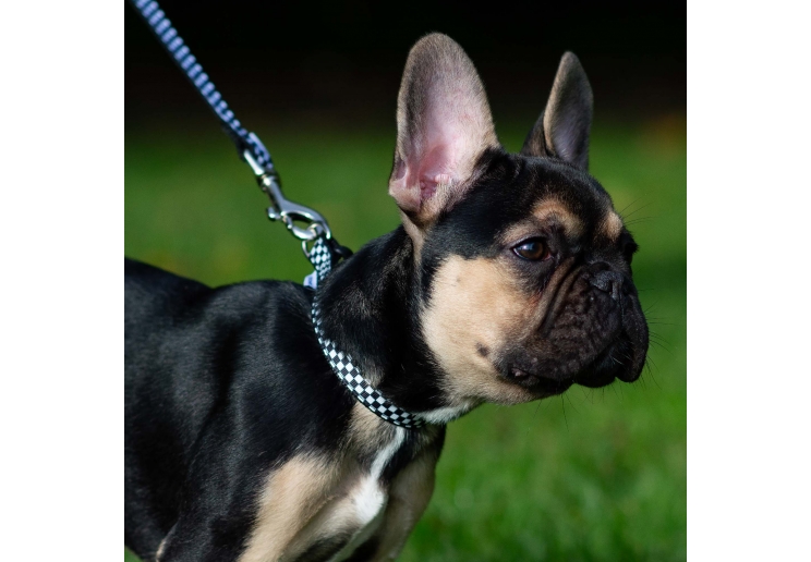 Soho Checkerboard Lead 100cm | 50kg