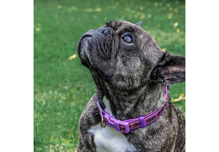 Pink Woof Collar 20-30cm Size 1-2