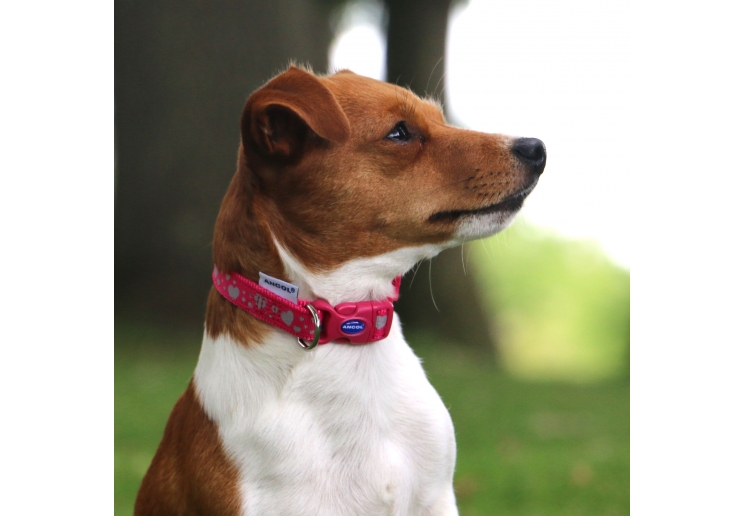 Soho Pink Reflective Hearts Collar M 30-50cm